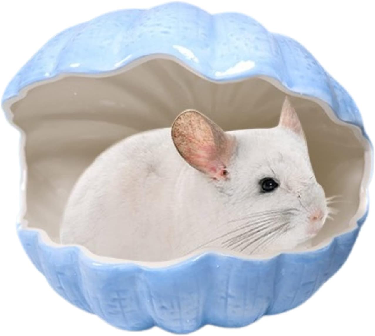 Small Animal Hideout Extra Large Ceramic Shell Shape Guinea Pig House Chinchilla Igloo Habitat Hut Cave Summer Bed Cage