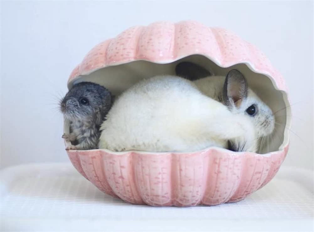 Small Animal Hideout Extra Large Ceramic Shell Shape Guinea Pig House Chinchilla Igloo Habitat Hut Cave Summer Bed Cage