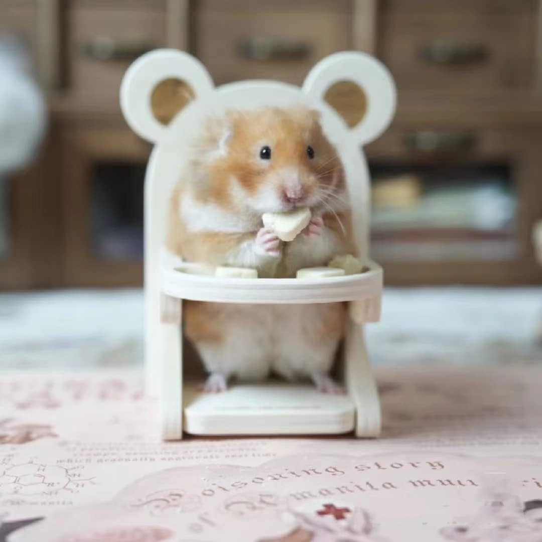 Handmade Wooden Hamster Dining High Chair