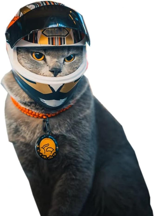 Pet Full Face Motorcycle Helmet for Cat Dog (Multicolor)