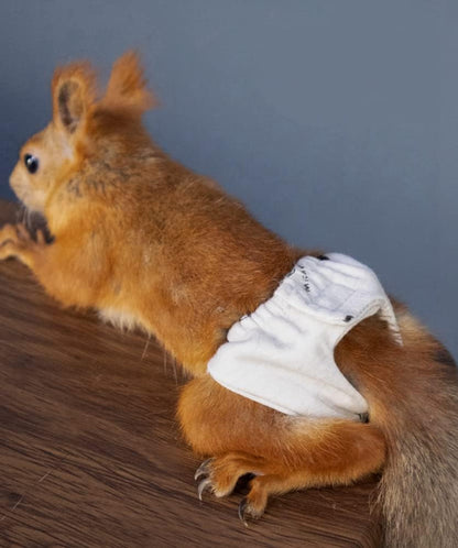 Reusable Washable Squirrel Diapers