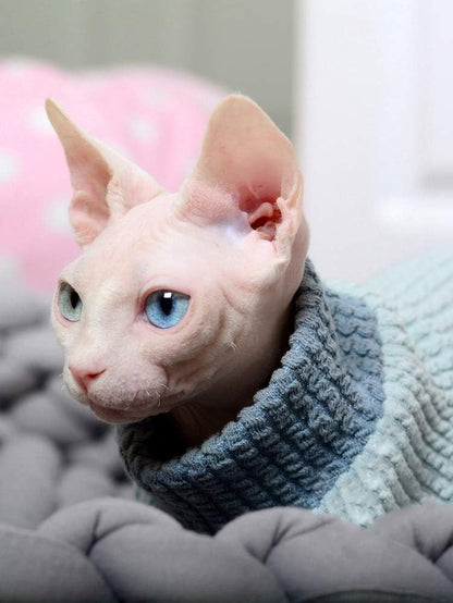 Hairless Cat Clothes, Turtleneck Cotton Sweater Shirt Four Legs Cat Pajamas, Suitable for Sphynx,Cornish Rex, Devon Rex, Peterbald and Various Sizes of Hairless Cat Clothes (XS,Blue)