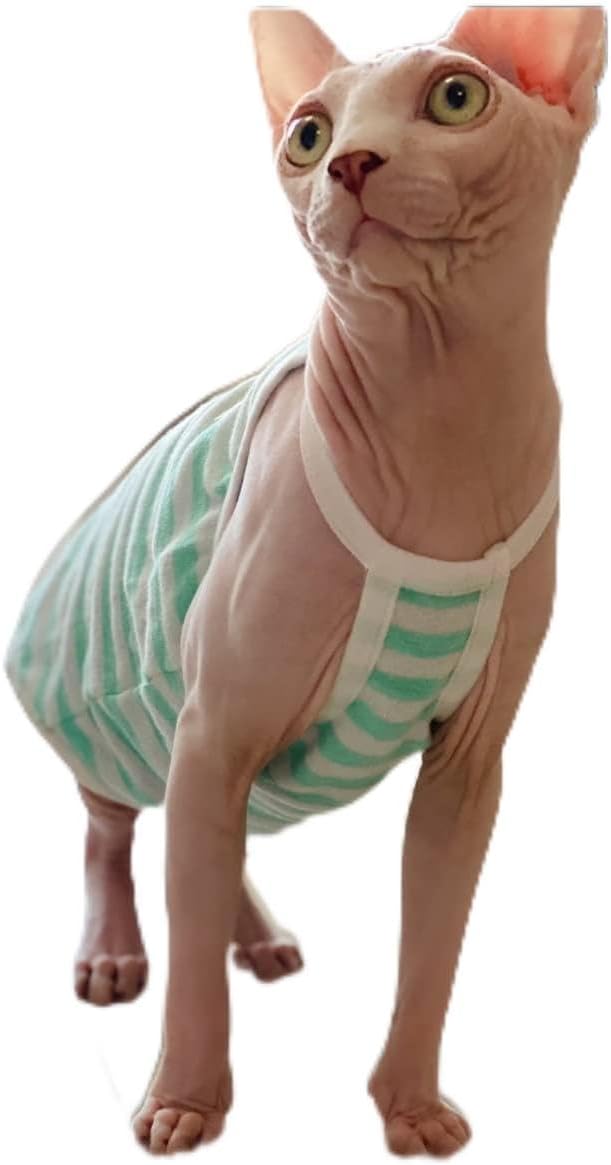 Sphynx Cat Clothes - Summer Thin Cotton Vest Breathable Pullover Strap Tank Tops Cat Apparel Pajamas Camisole T-Shirt for Hairless Cats, Sphynx,Cornish Rex, Devon Rex, Peterbald (XXL,Green)