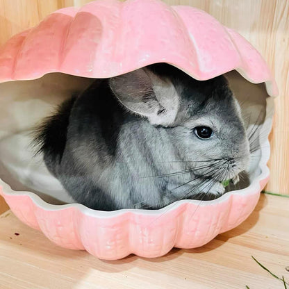 Small Animal Hideout Extra Large Ceramic Shell Shape Guinea Pig House Chinchilla Igloo Habitat Hut Cave Summer Bed Cage