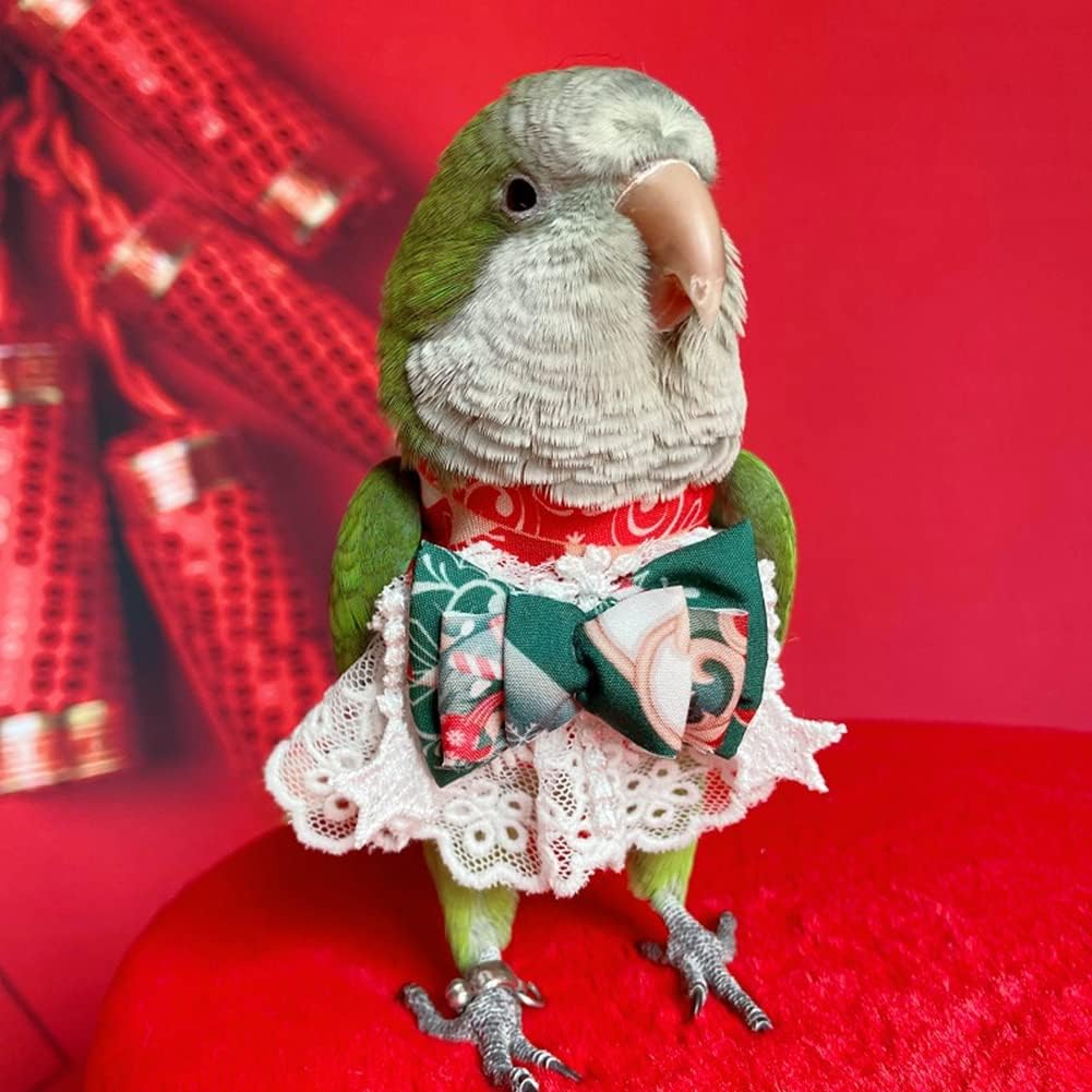 Bird Clothes - Handmade Christmas Dress with Bowknot Lace Embroidered Flight Suit for Parrots African Greys Parakeet Cockatiel Sun Conure Parrot Cosplay Apparel Bird Supplies (L)