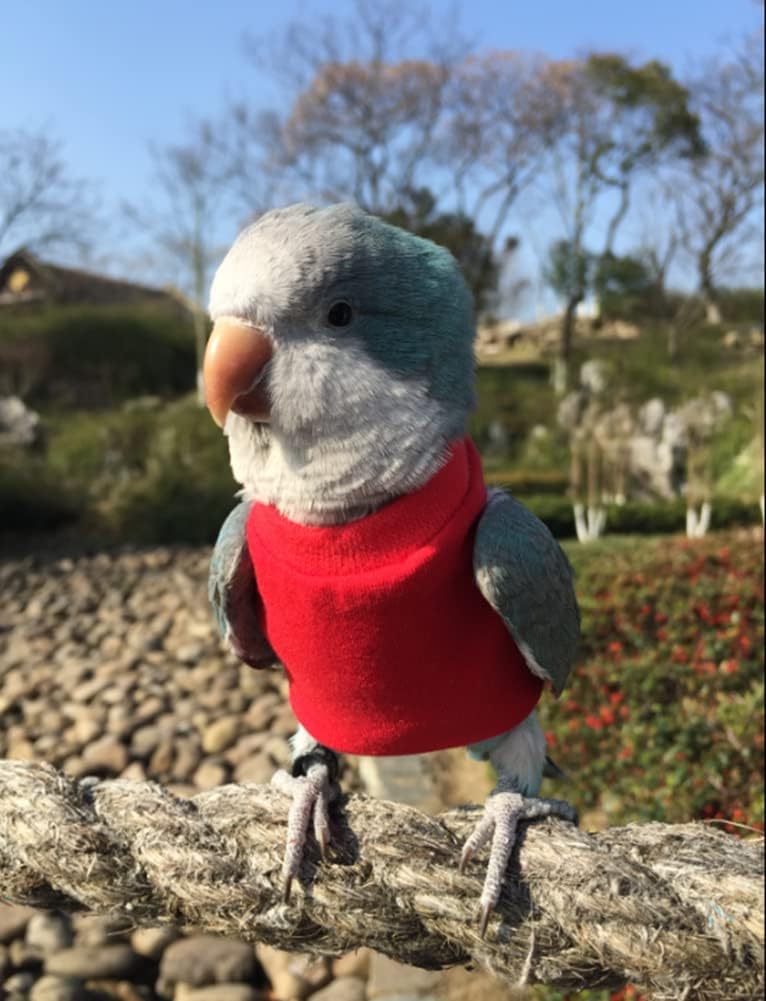 Bird Clothes - Handmade Cotton Sweater Vest Shirt Bright Color Flight Suit for Parrots African Greys Parakeet Cockatiel Sun Conure Christmas Halloween Party Cosplay Apparel Bird Supplies (S,Red)