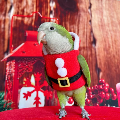 Bird Clothes - Handmade Christmas Santa Costume Winter Warm Xmas Outfit