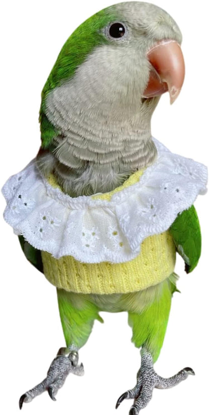 Bird Clothes - Handmade Knitted Sweater Shirt with Lace Collar Elegant Dress Flight Suit for Parrot African Greys Parakeet Cockatiel Sun Conure Parrot Apparel Bird Supplies (XS,Green)