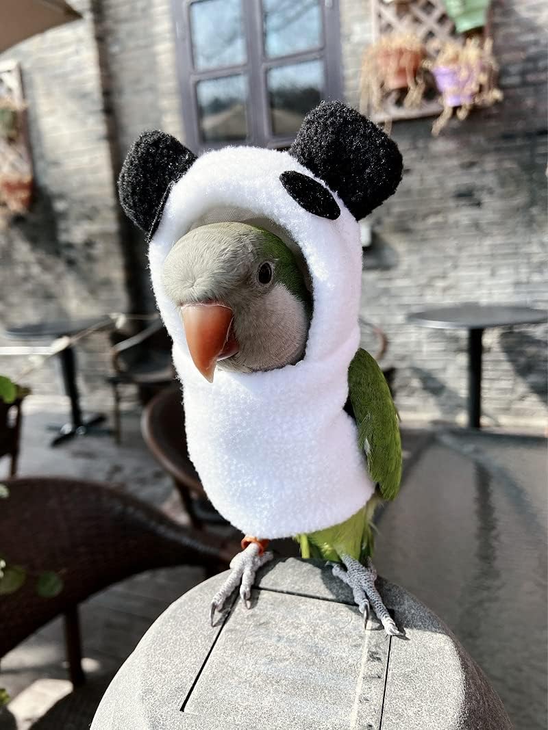 Bird Clothes - Handmade Cotton Panda Costume Hoodie Shirt Flight Suit for Parrots African Greys Parakeet Cockatiel Sun Conure Christmas Halloween Cosplay Apparel Photo Prop Bird Supplies (2XL)