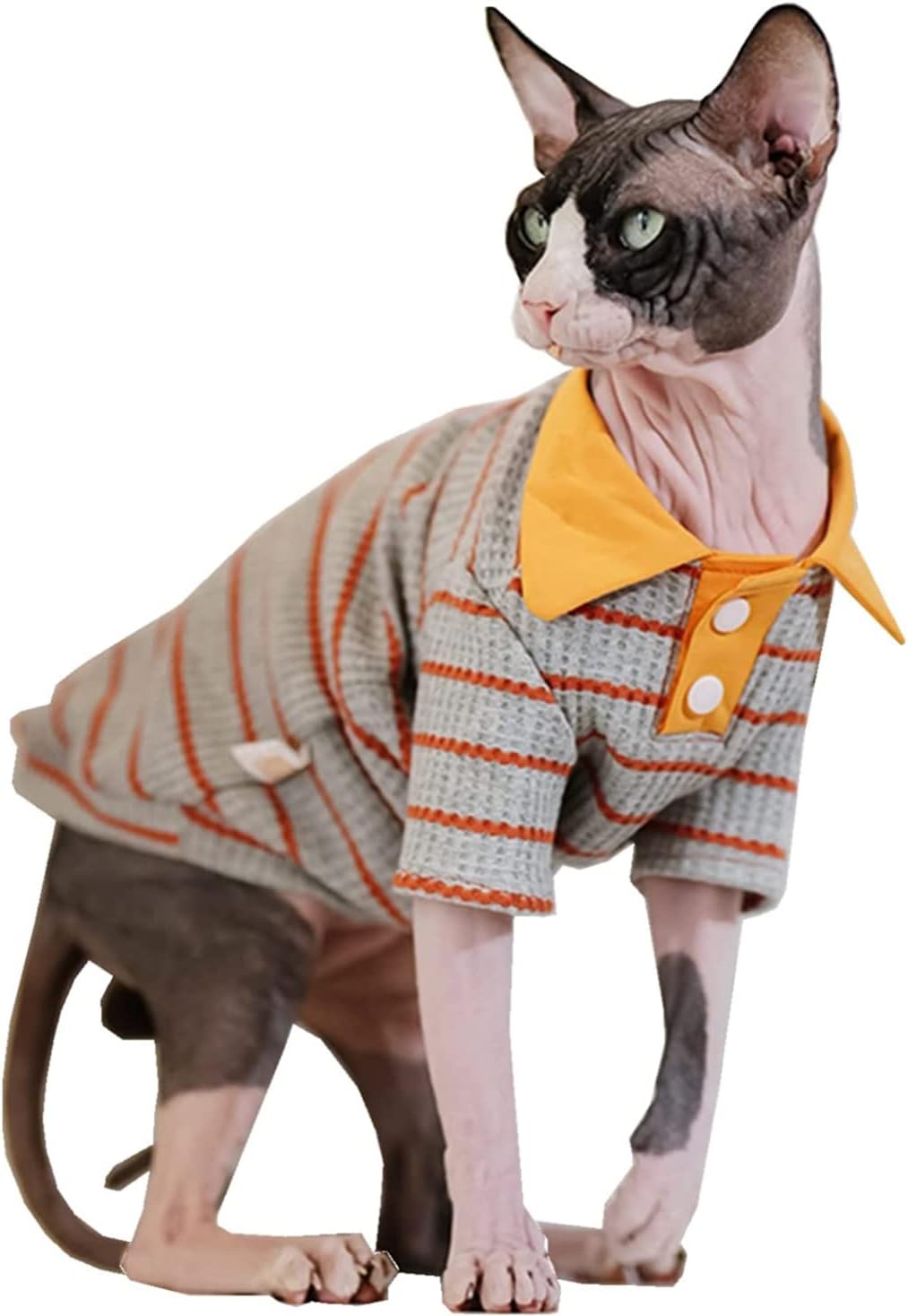 Hairless Cat Clothes Cotton Polo T-Shirt Stripe Print Pullover Jumpsuits Pajamas for Sphynx Cornish Rex Devon Rex Peterbald