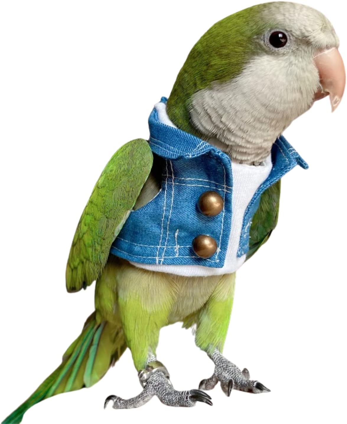 Bird Clothes - Handmade Cotton Denim Jacket Shirt with Bronze Button