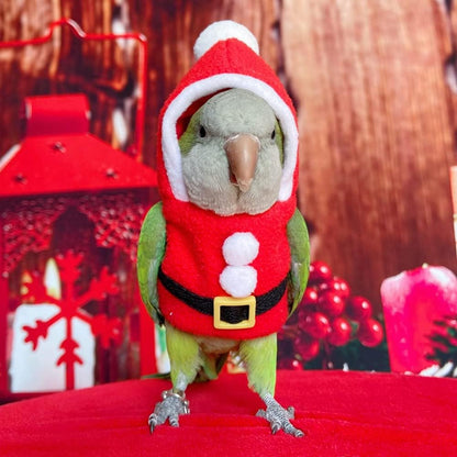 Bird Clothes - Handmade Christmas Santa Costume Winter Warm Xmas Outfit