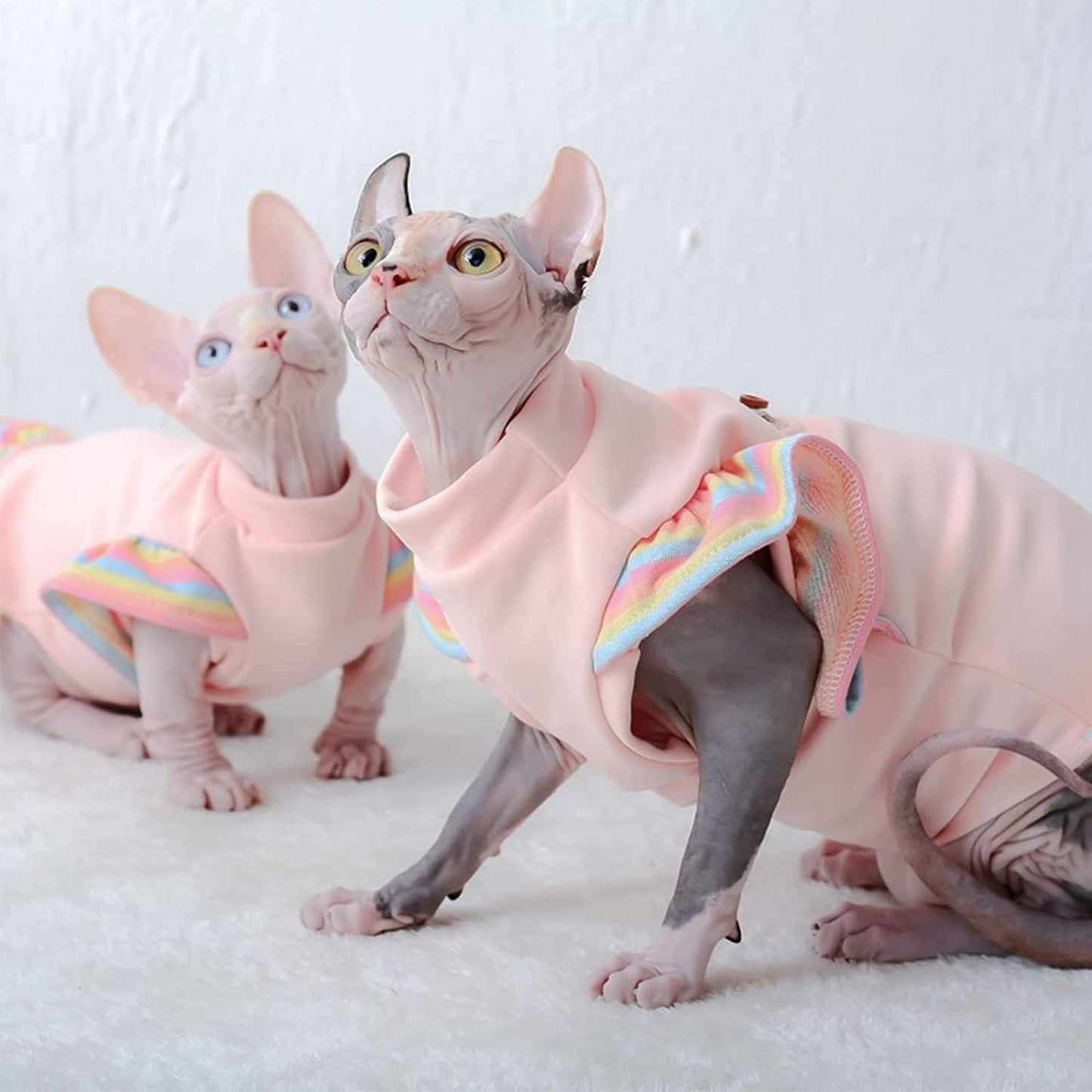 Hairless Cats Clothes, Cotton T-Shirt Pet Clothes Round Collar Dress,Cats & Small Dogs Apparel,Warm Cat Wear Pullover Costume for Sphynx, Cornish Rex, Devon Rex, Peterbald (XS,Pink)