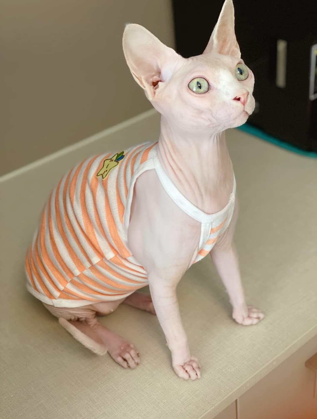 Sphynx Cat Clothes - Summer Thin Cotton Vest Breathable Pullover Strap Tank Tops Cat Apparel Pajamas Camisole T-Shirt for Hairless Cats, Sphynx,Cornish Rex, Devon Rex, Peterbald (XXL,Green)