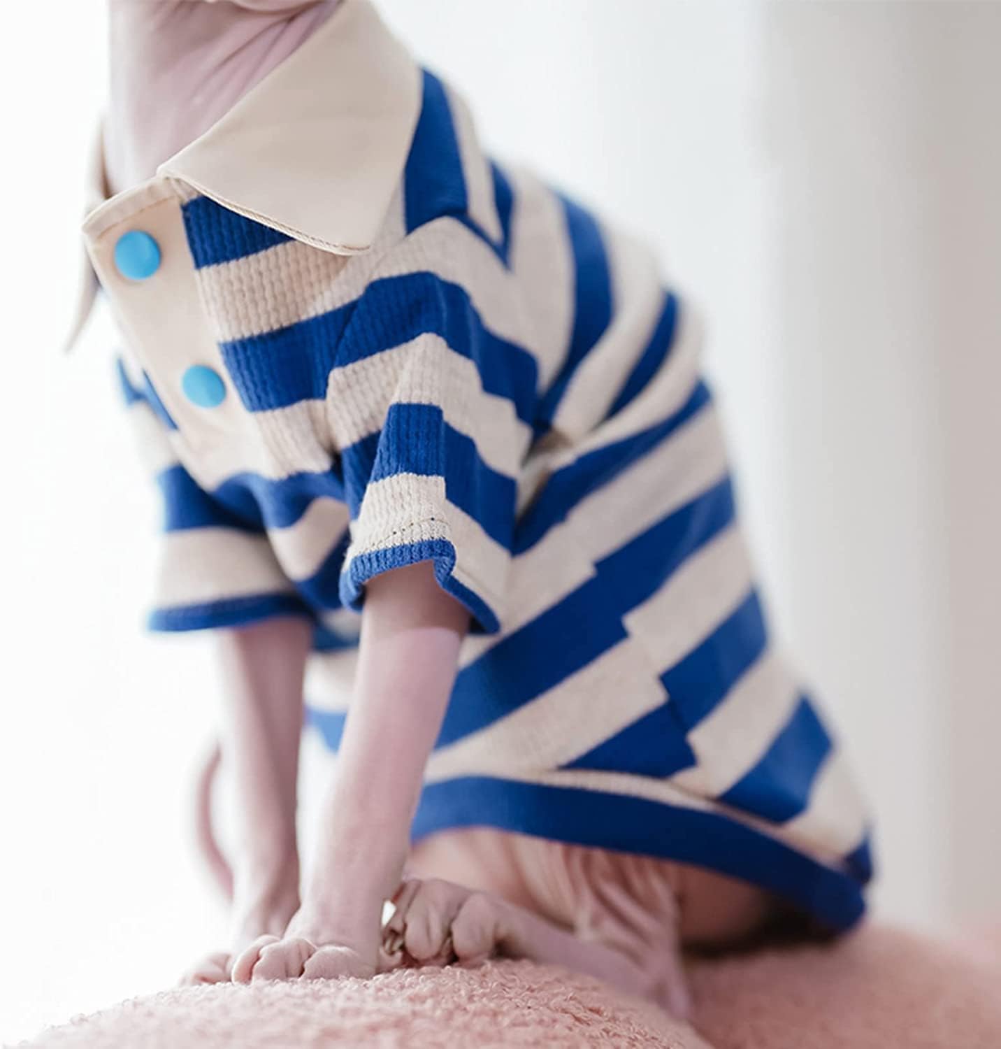 Hairless Cat Clothes Cotton Polo T-Shirt Stripe Print Pullover Jumpsuits Pajamas for Sphynx Cornish Rex Devon Rex Peterbald