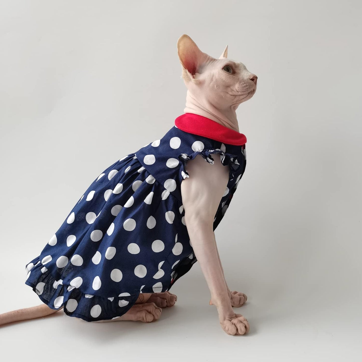 Hairless Cat Clothes - Summer Breathable Polka Dots Suspender Skirt Round Collar Elegant Romantic Girly Dress,Cotton Vest Princess Dress for Sphynx, Cornish Rex, Devon Rex, Peterbald (XL)