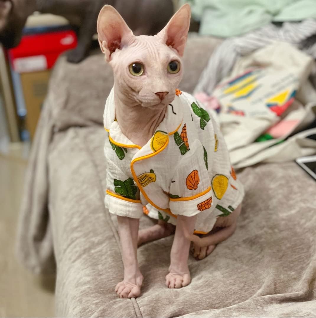 Hairless Cat Clothes - Cotton Pajamas Fruit Print Pet Sweater Shirt for Cats Clothing Spring Winter Skin-Friendly Jumpsuit Clothes for Sphynx, Cornish Rex, Devon Rex, Peterbald? (S,Orange)