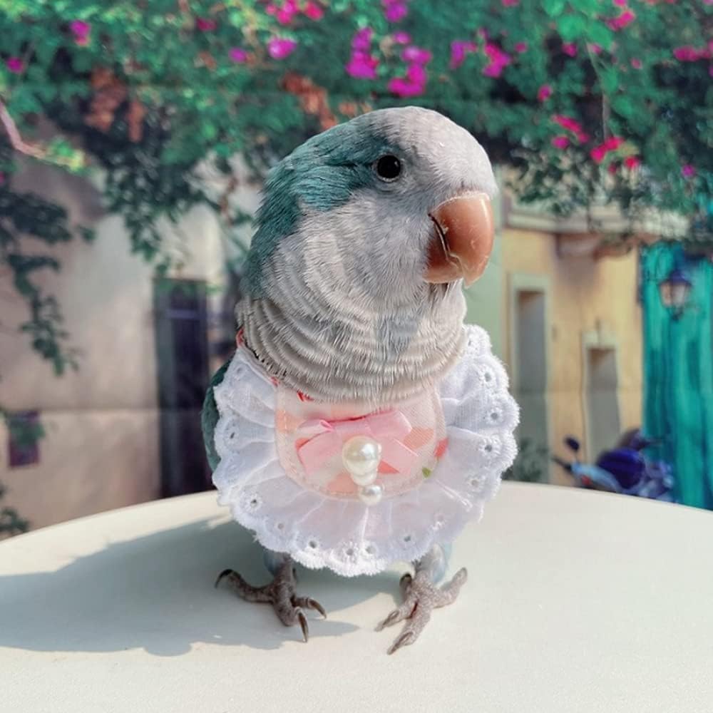 Bird Clothes - Handmade Cotton Floral Shirt with Pearl Decor Flight Suit Vest for Parrots African Greys Parakeet Cockatiel Sun Conure Parrot Halloween Cosplay Apparel Bird Supplies (L,Pink)