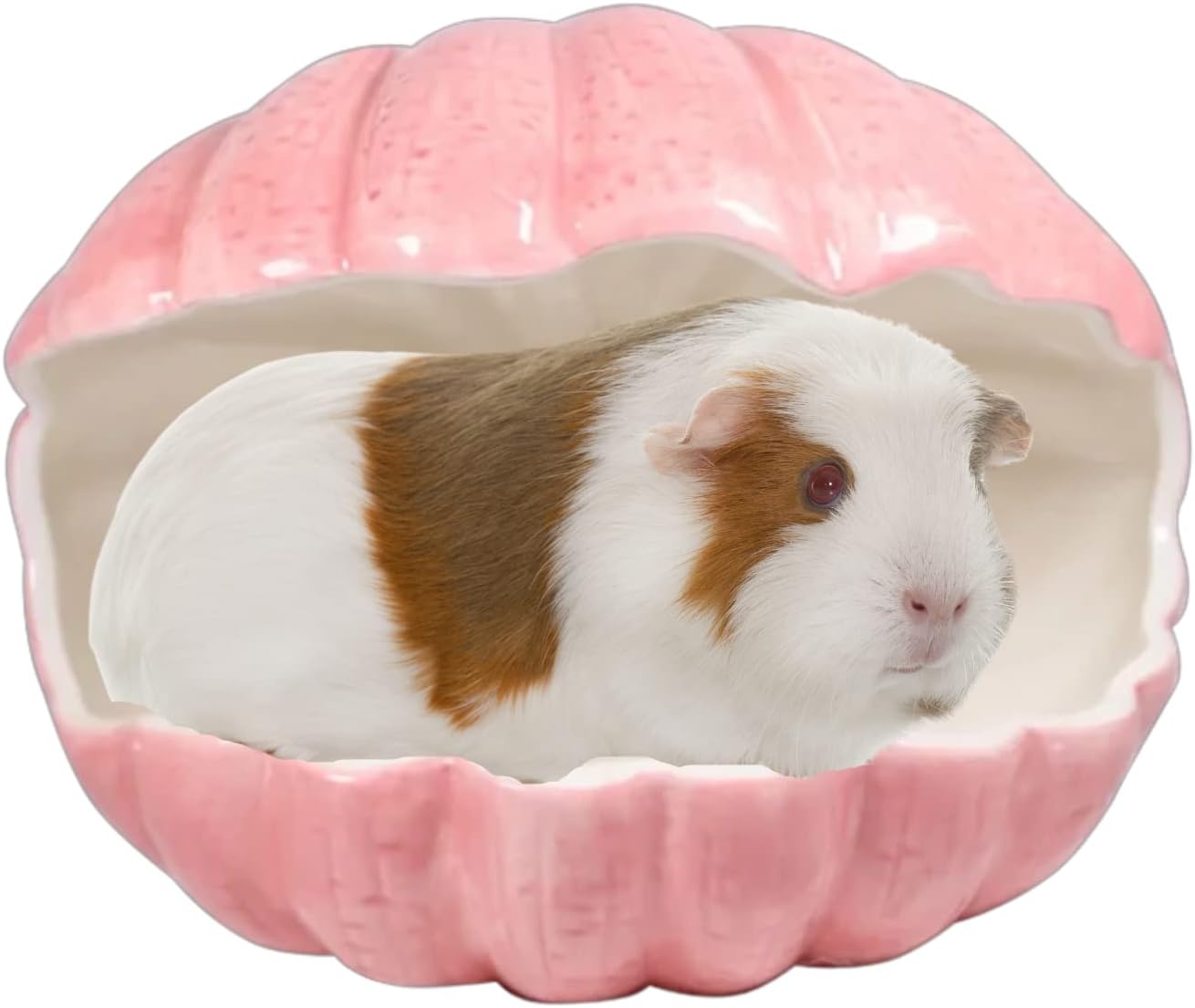 Small Animal Hideout Extra Large Ceramic Shell Shape Guinea Pig House Chinchilla Igloo Habitat Hut Cave Summer Bed Cage