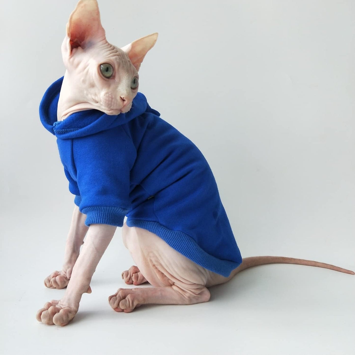 Hairless Cats Clothes - Winter Autumn Solid Soft Warm Hoodies Cotton Cat Wear Sweatshirt Pullover Jumpsuit for Sphynx, Cornish Rex, Devon Rex, Peterbald, Hairless Cats Dogs Apparel (XXL,Blue)