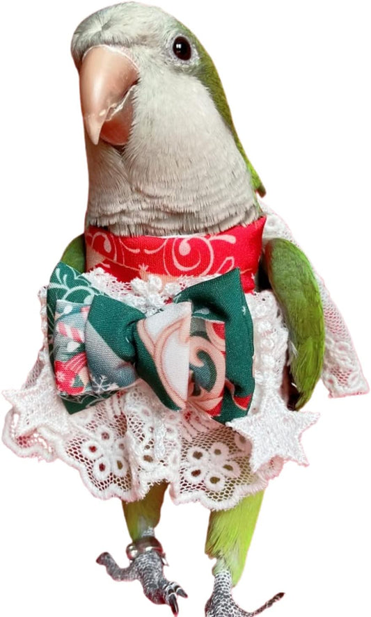 Bird Clothes - Handmade Christmas Dress with Bowknot Lace Embroidered Flight Suit for Parrots African Greys Parakeet Cockatiel Sun Conure Parrot Cosplay Apparel Bird Supplies (L)