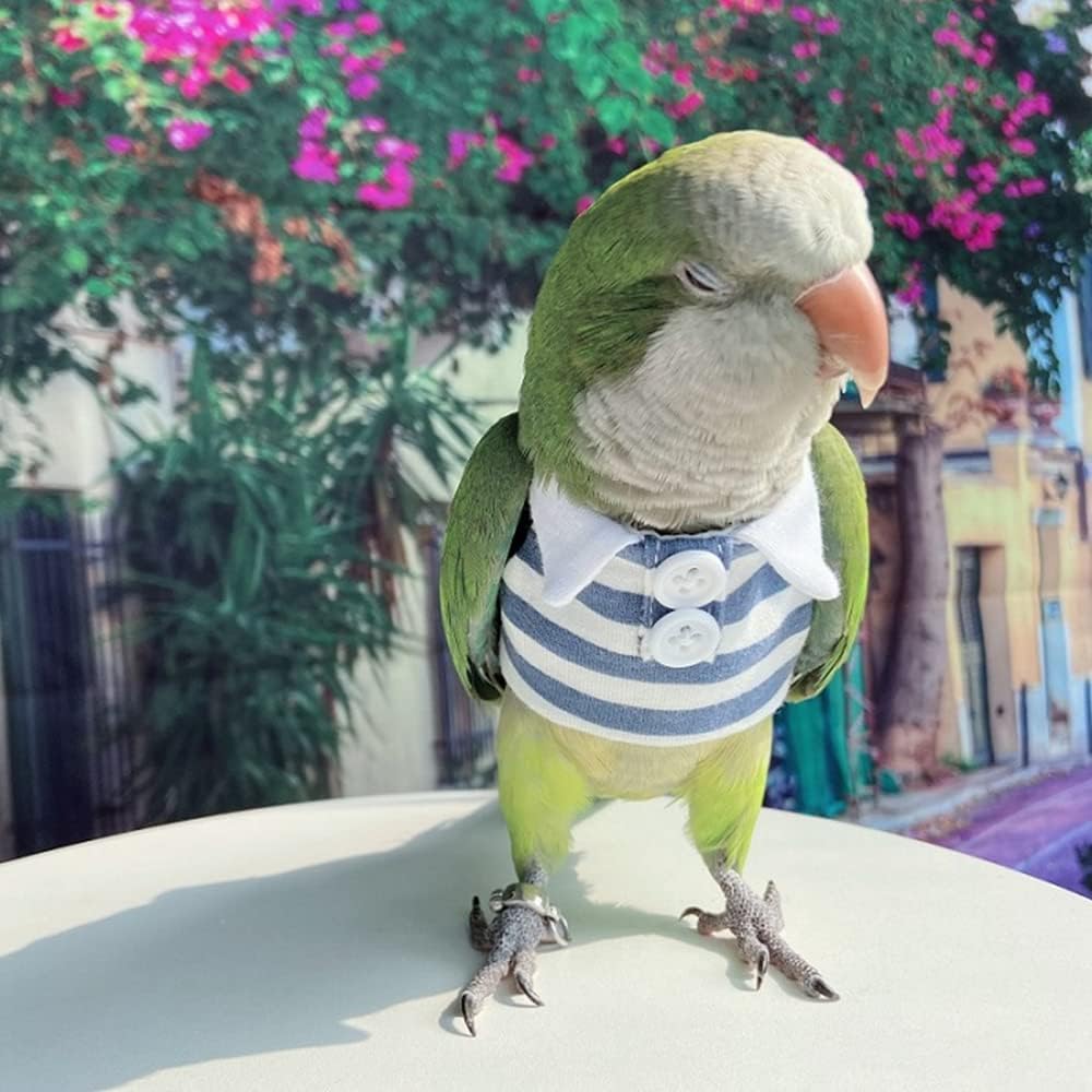 Bird Clothes - Handmade Cotton Stripe Polo Shirt with Button Flight Suit Vest for Parrots African Greys Parakeet Cockatiel Sun Conure Parrot Halloween Cosplay Apparel Bird Supplies (XL,Blue)