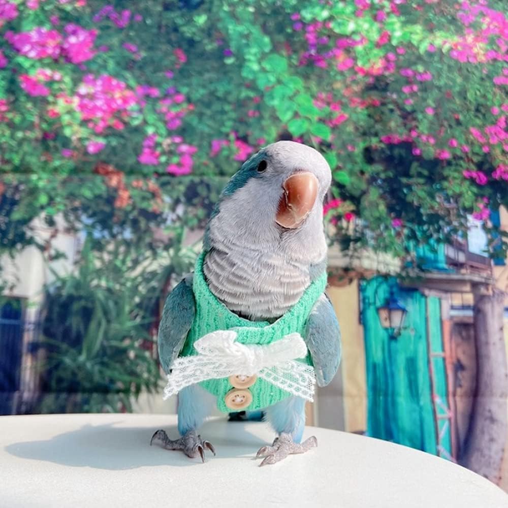 Bird Clothes - Handmade Cotton Shirt with Lace Bowknot Flight Suit Sweater Vest for Parrots African Greys Parakeet Cockatiel Sun Conure Parrot Halloween Cosplay Apparel Bird Supplies (S,Green)