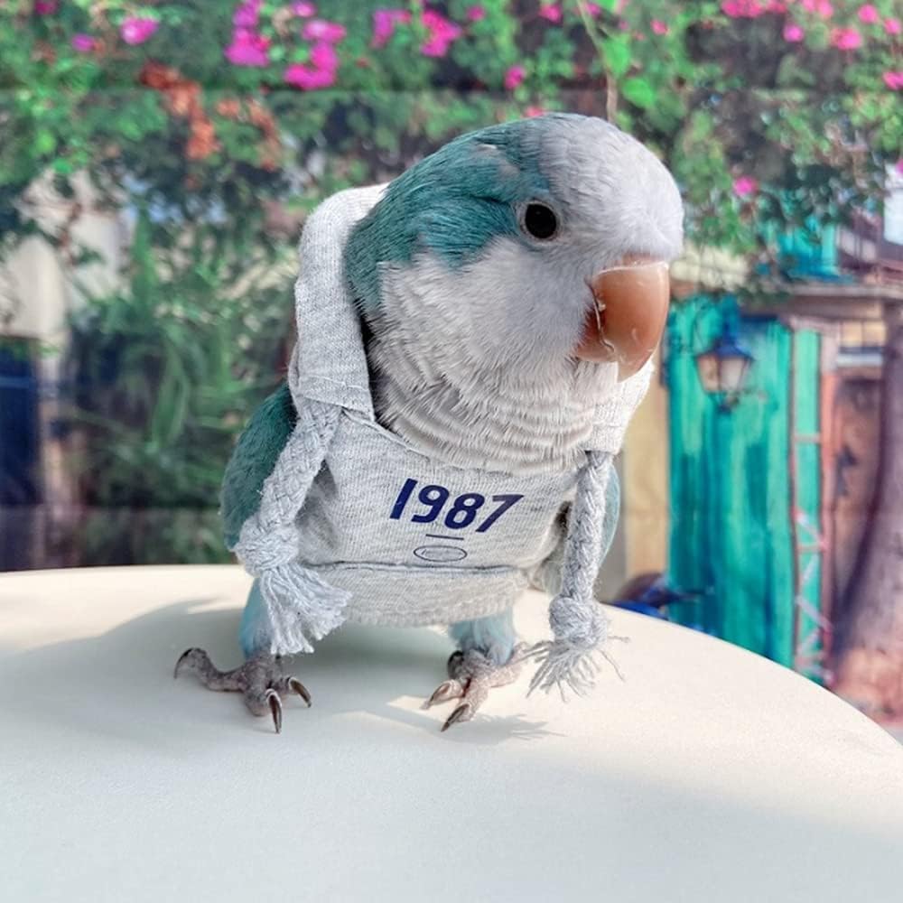 Bird Clothes - Handmade Cotton Vintage Hoodie with Drawstring Flight Suit Vest for Parrots African Greys Parakeet Cockatiel Sun Conure Parrot Halloween Cosplay Apparel Bird Supplies (3XL,Grey)