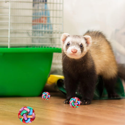 3 Pack Ferret Toys Balls - Exercise Scratch Chew Toys for Indoor Pet Ferret Cat Dog