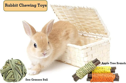 13 Pack Rabbit Bunny Chew Toys for Small Animals - Bunny Natural Hay Activity Balls Rabbit Apple Sticks Sweet Bamboo Timothy Hay Sticks Grass Carrots for Hamster Guinea Pig Dental Health