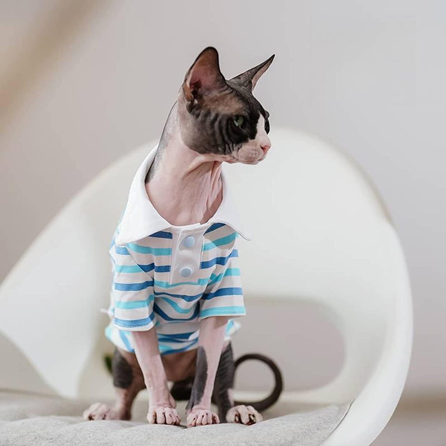 Hairless Cat Clothes - Spring Summer Cotton Polo T-Shirt Long Sleeve Stripe Print Pullover Jumpsuits Breathable Stretch Pajamas for Sphynx, Cornish Rex, Devon Rex, Peterbald (L,Blue)