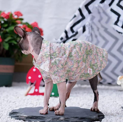 Hairless Cat Clothes - Summer Cotton Breathable T-Shirts Button Closure Turn Down Collar Stretch Jumpsuits Pullover Pajamas Cat Apparel for Sphynx, Cornish Rex, Devon Rex, Peterbald (S+,Pink)