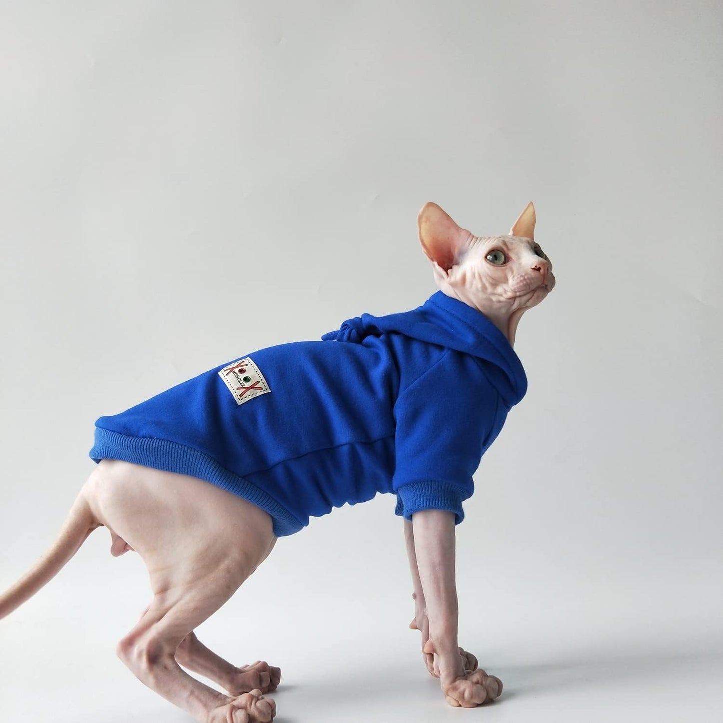 Hairless Cats Clothes - Winter Autumn Solid Soft Warm Hoodies Cotton Cat Wear Sweatshirt Pullover Jumpsuit for Sphynx, Cornish Rex, Devon Rex, Peterbald, Hairless Cats Dogs Apparel (XXL,Blue)