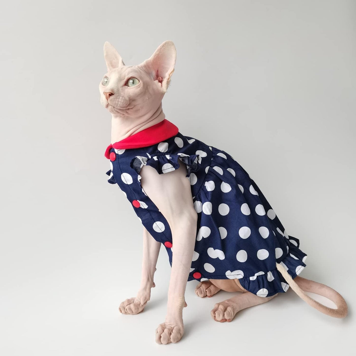 Hairless Cat Clothes - Summer Breathable Polka Dots Suspender Skirt Round Collar Elegant Romantic Girly Dress,Cotton Vest Princess Dress for Sphynx, Cornish Rex, Devon Rex, Peterbald (XL)