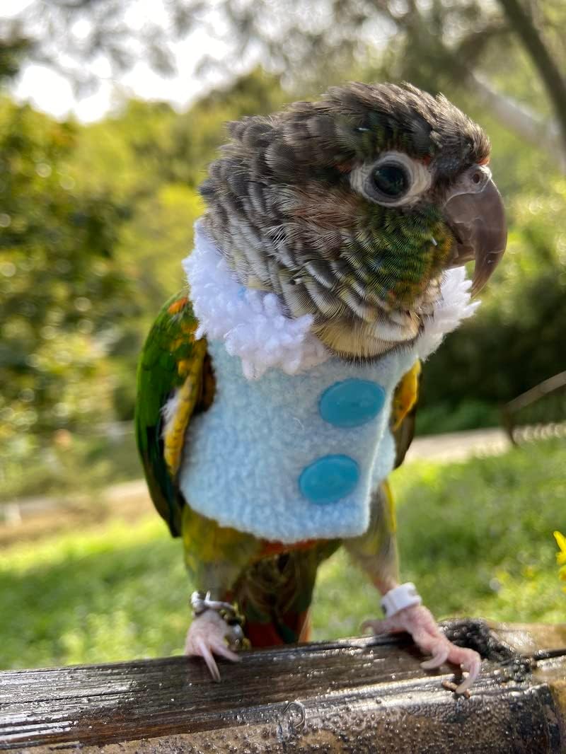 Bird Clothes - Handmade Winter Warm Sweater with Fur Collar Flight Suit for Parrot African Greys Parakeet Cockatiel Sun Conure Christmas Halloween Cosplay Apparel Photo Prop Bird Supplies (L,Blue)