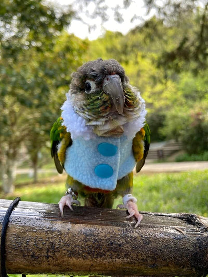 Bird Clothes - Handmade Winter Warm Sweater with Fur Collar Flight Suit for Parrot African Greys Parakeet Cockatiel Sun Conure Christmas Halloween Cosplay Apparel Photo Prop Bird Supplies (L,Blue)