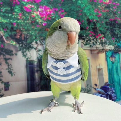 Bird Clothes - Handmade Cotton Stripe Polo Shirt with Button Flight Suit Vest for Parrots African Greys Parakeet Cockatiel Sun Conure Parrot Halloween Cosplay Apparel Bird Supplies (XL,Blue)