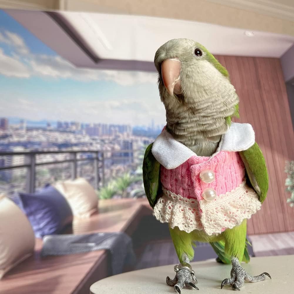 Bird Clothes - Handmade Knitted Sweater with Lace Pearl Button Dress Flight Suit for Parrots African Greys Parakeet Cockatiel Sun Conure Parrot Cosplay Apparel Bird Supplies (S)