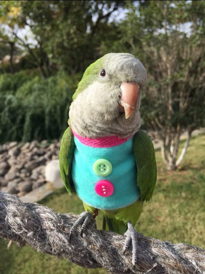 Bird Clothes - Handmade Bird Sweater Shirt with Buttons Flight Suit for Parrots African Greys Parakeet Cockatiel Sun Conure Christmas Halloween Cosplay Apparel Photo Prop Bird Supplies (M,Blue)