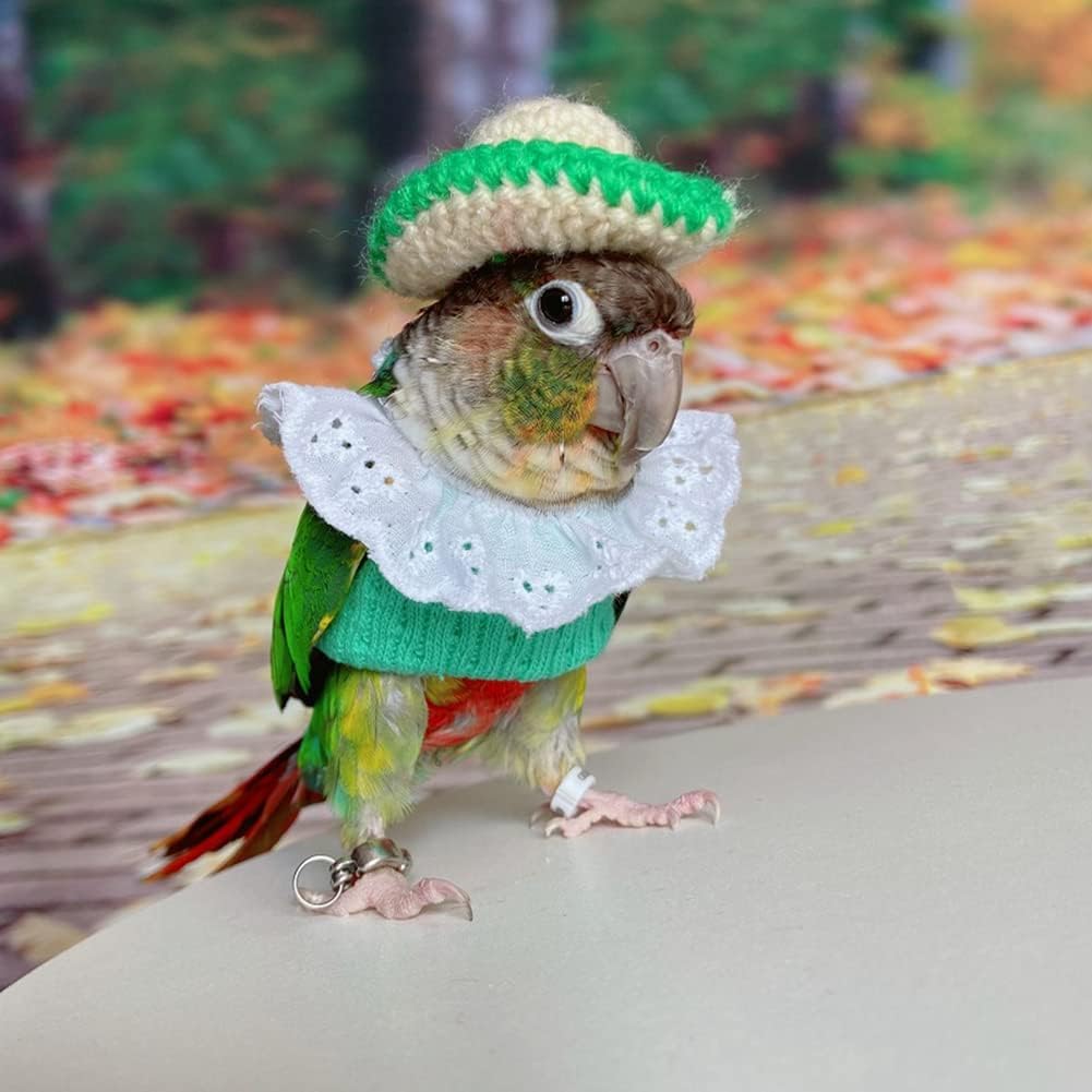 Bird Clothes - Handmade Knitted Sweater Shirt with Lace Collar Elegant Dress Flight Suit for Parrot African Greys Parakeet Cockatiel Sun Conure Parrot Apparel Bird Supplies (XS,Green)