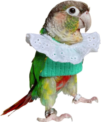 Bird Clothes - Handmade Knitted Sweater Shirt with Lace Collar Elegant Dress Flight Suit for Parrot African Greys Parakeet Cockatiel Sun Conure Parrot Apparel Bird Supplies (XS,Green)