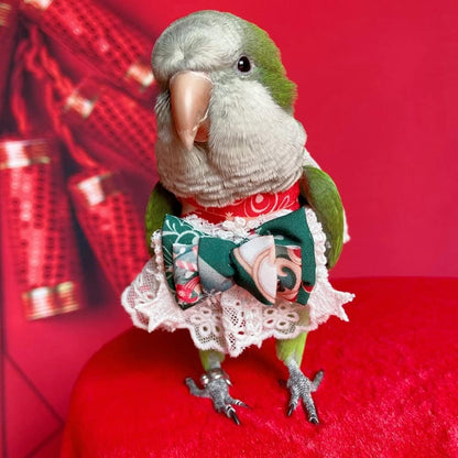 Bird Clothes - Handmade Christmas Dress with Bowknot Lace Embroidered Flight Suit for Parrots African Greys Parakeet Cockatiel Sun Conure Parrot Cosplay Apparel Bird Supplies (L)