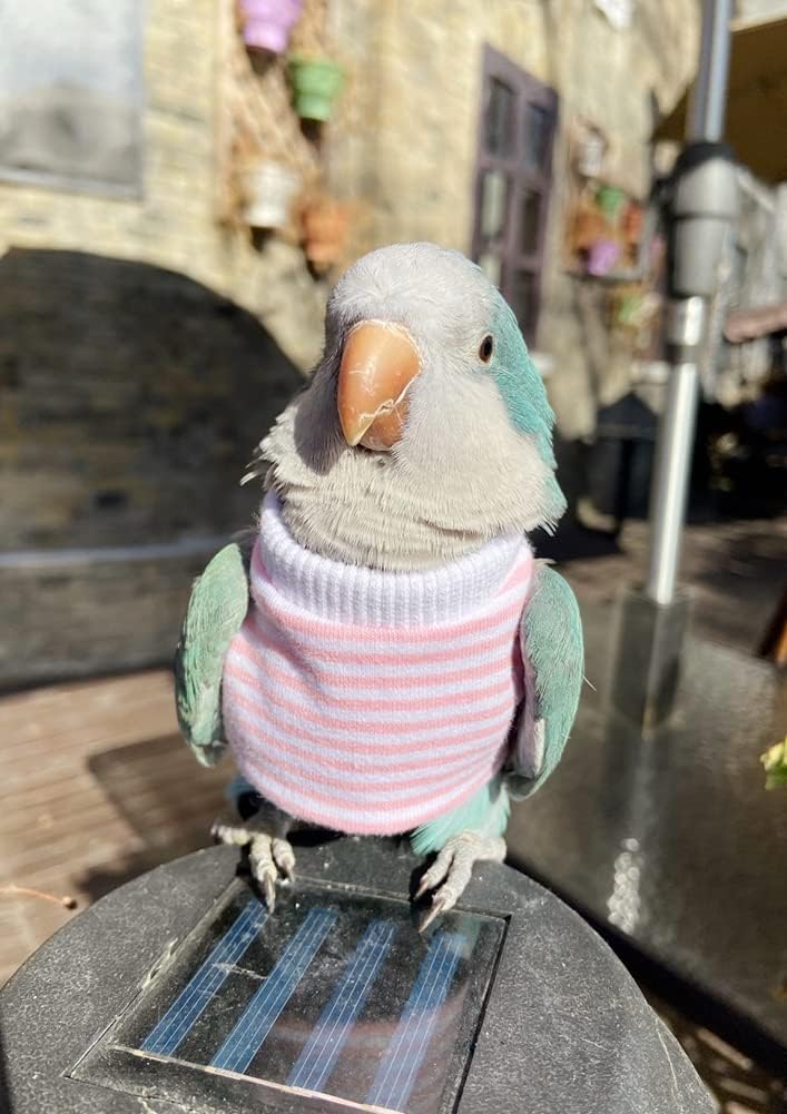 Bird Clothes - Handmade Cotton Stripe Shirt Round Collar Sweater