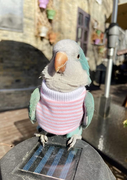 Bird Clothes - Handmade Cotton Stripe Shirt Round Collar Sweater