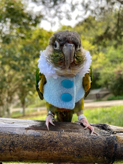 Bird Clothes - Handmade Winter Warm Sweater with Fur Collar Flight Suit for Parrot African Greys Parakeet Cockatiel Sun Conure Christmas Halloween Cosplay Apparel Photo Prop Bird Supplies (L,Blue)