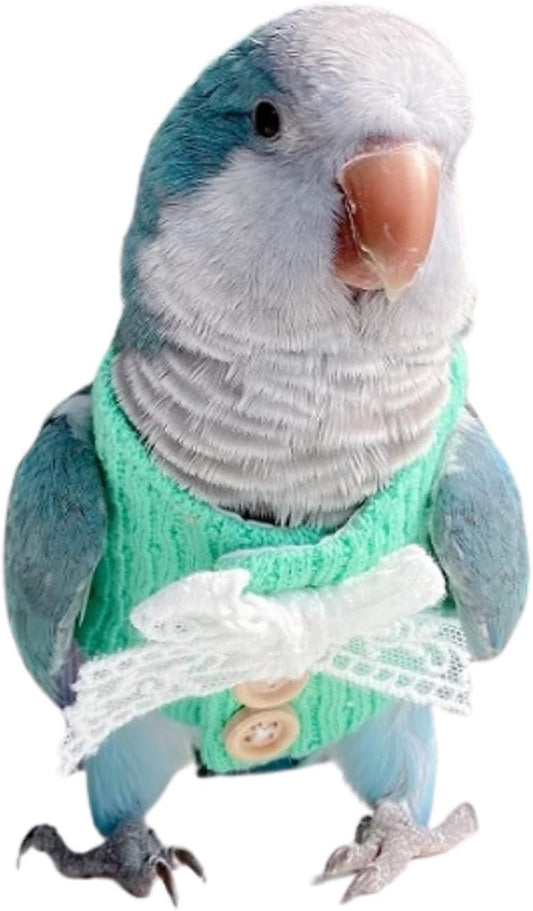 Bird Clothes - Handmade Cotton Shirt with Lace Bowknot Flight Suit Sweater Vest for Parrots African Greys Parakeet Cockatiel Sun Conure Parrot Halloween Cosplay Apparel Bird Supplies (S,Green)