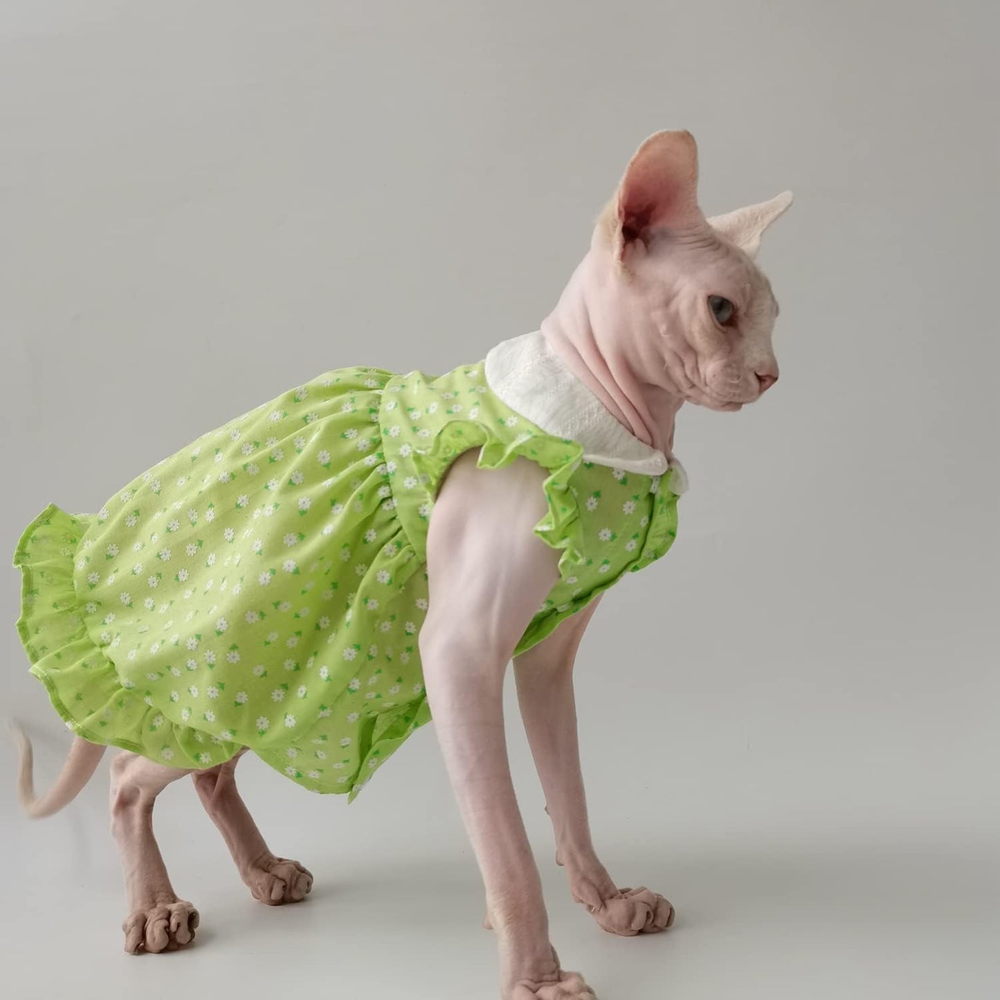 Hairless Cat Clothes - Summer Breathable Floral Suspender Skirt Round Collar Elegant Romantic Girly Dress,Cotton Vest Princess Dress for Sphynx, Cornish Rex, Devon Rex, Peterbald (M)