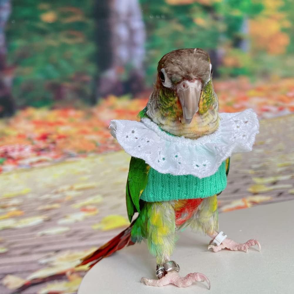 Bird Clothes - Handmade Knitted Sweater Shirt with Lace Collar Elegant Dress Flight Suit for Parrot African Greys Parakeet Cockatiel Sun Conure Parrot Apparel Bird Supplies (XS,Green)