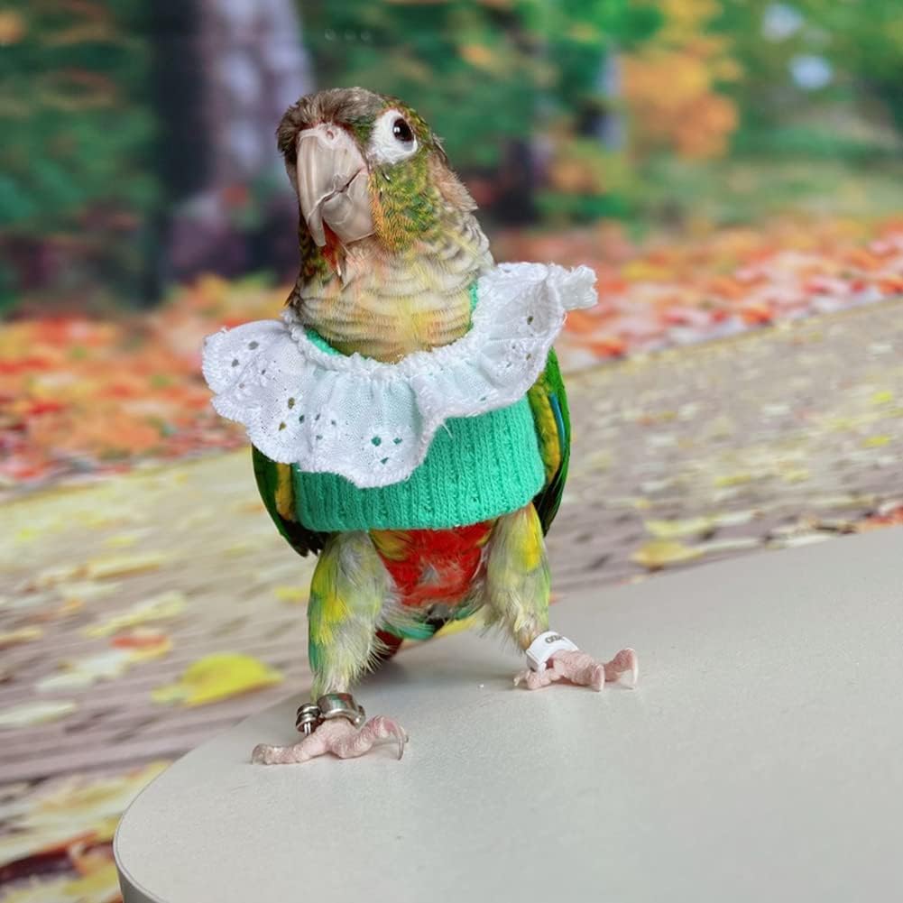 Bird Clothes - Handmade Knitted Sweater Shirt with Lace Collar Elegant Dress Flight Suit for Parrot African Greys Parakeet Cockatiel Sun Conure Parrot Apparel Bird Supplies (XS,Green)