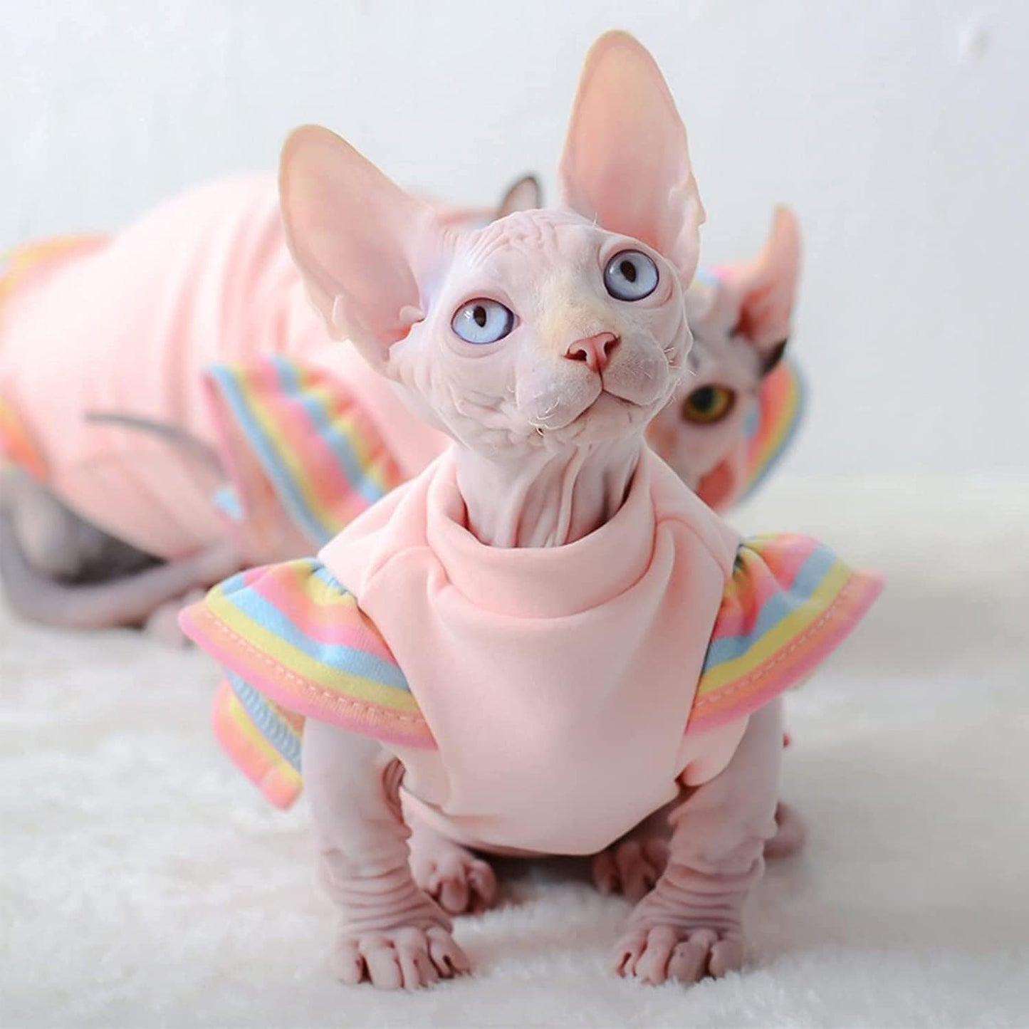 Hairless Cats Clothes, Cotton T-Shirt Pet Clothes Round Collar Dress,Cats & Small Dogs Apparel,Warm Cat Wear Pullover Costume for Sphynx, Cornish Rex, Devon Rex, Peterbald (XS,Pink)